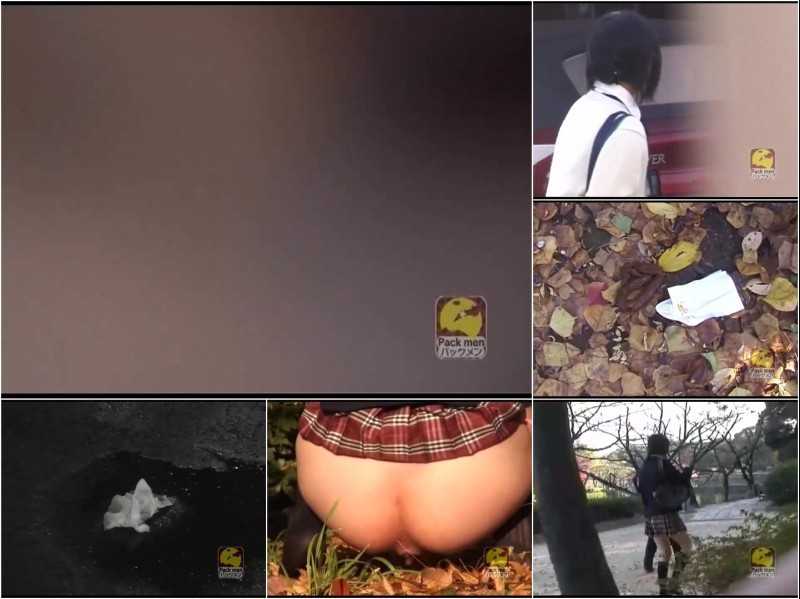 Download PM060 Outdoor Voyeurism Schoolgirls Caught Pee